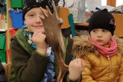 IMG_20221111_093324