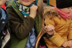 IMG_20221111_093330