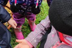IMG_20221004_104247