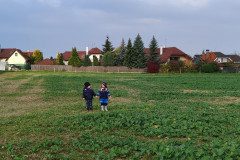 IMG_20221013_095749