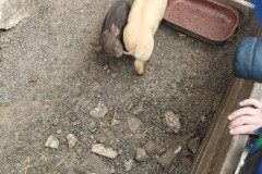 IMG-20230210-WA0014