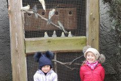 IMG_20230210_100441