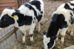IMG_20230210_101154