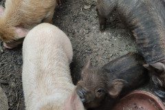 IMG_20230210_101905