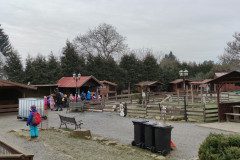 IMG_20230210_101938