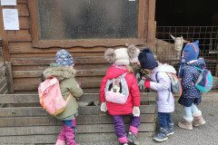IMG_20230210_102014