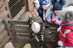 IMG_20230210_102026