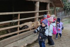 IMG_20230210_102237