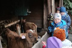 IMG_20230210_102251