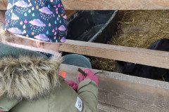 IMG_20230210_102543