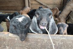 IMG_20230210_102820