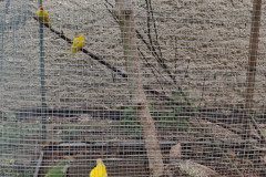 IMG_20230607_093745