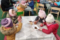 IMG_20221208_093532