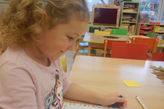DSCN2105