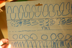 DSCN2147