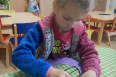 DSCN2233