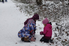 IMG_20251126_104730