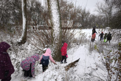 IMG_20251126_104929
