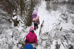 IMG_20251126_104955