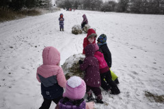IMG_20251126_105209