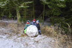 IMG_20251126_105234