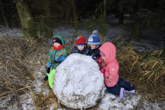 IMG_20251126_105238