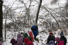 IMG_20251126_111716