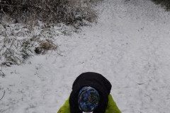 IMG_20251126_111722