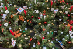 1a165c6b-bc92-4be1-bb7d-1ed39eee64b6