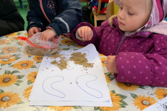 IMG-20211111-WA0007