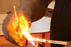 IMG-20211116-WA0006