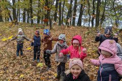 PXL_20231108_102106409
