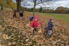 PXL_20231108_102646618