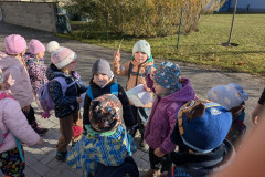 PXL_20251114_090354020