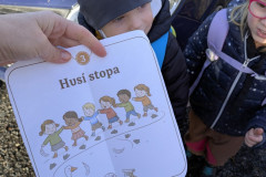 PXL_20251114_090757226