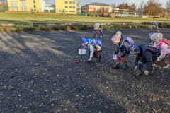 PXL_20251114_090944225