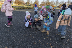 PXL_20251114_091000693