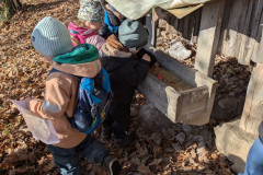 PXL_20251114_093411624