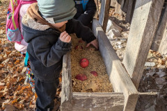 PXL_20251114_093414261