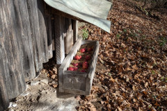 PXL_20251114_093517702