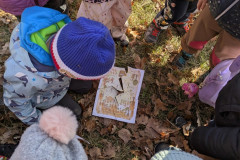 PXL_20251114_093901274