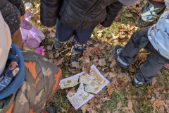 PXL_20251114_093920630