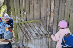 PXL_20251114_094030635