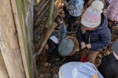 PXL_20251114_094045262