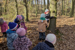 PXL_20251114_094051856