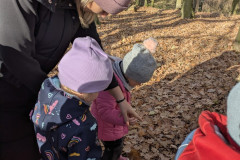 PXL_20251114_094059928