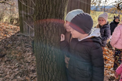 PXL_20251114_094215044