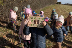 PXL_20251114_095607956