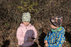 PXL_20251114_095616218