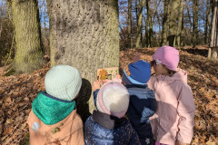 PXL_20251114_095814500